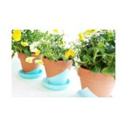 Pintura acrílica - DecoColor Crema de Pébéo - Olive Mat n°34 x 120ml