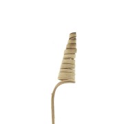 Cane Cone natural - flor seca para tus creaciones DIY x1 varilla