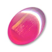 Cabuchón 18x13 mm Rosa/Gold x1