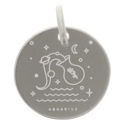 Colgante redondo 13,5 mm - signo astrológico Acuario - Plata 925 x1