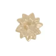 Accesorios para pegar