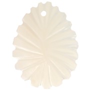 Colgantes hoja curva de nácar 30x22 mm - Natural x2