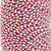 Cordón de algodón trenzado de 2,5 mm - Fabricación francesa - Tricolor x1m