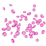 Piedras de cristal sueltas resinadas - Joblot Swarovski - 1 a 6 mm - Fucsia x10g