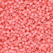 Miyuki Envasado grandes volúmenes