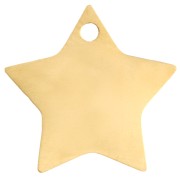 Estrella 12x13 mm - Acero inoxidable 304 Oro x1