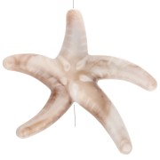Perla acrílica estrella de mar 37x43 mm - Beige - Marrón jaspeado x1