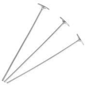 Clavo de cabeza plana ancha 25 x 0,6 mm - Acero inoxidable 304 x6